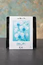 Floral Fairy – Oolong tea 2.webp